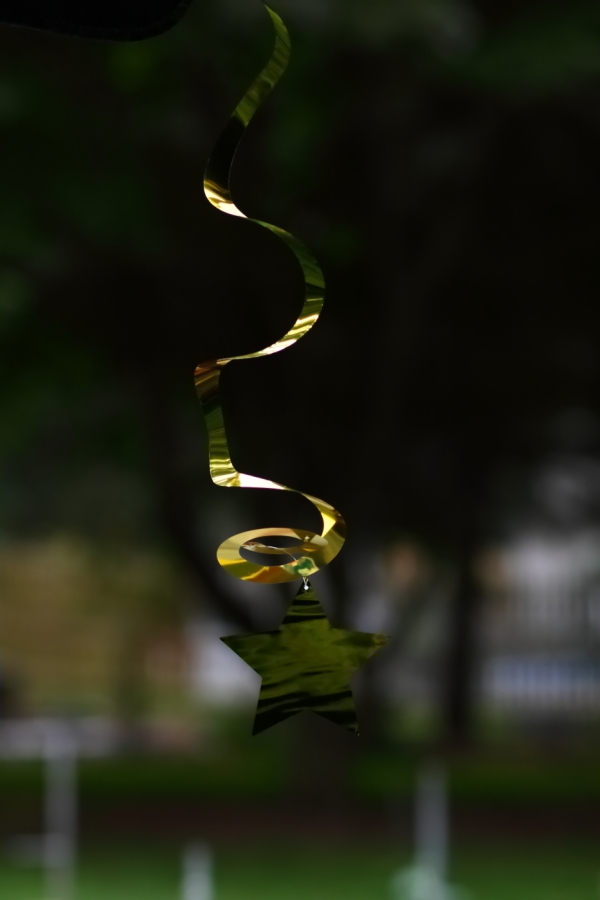 2012 07 13 8031
